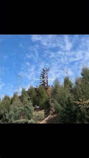 apke pyar me hum savarne lage ❤❤😍😍status #shortvideo #loveshort #traindingsong #viralvideo #shorts