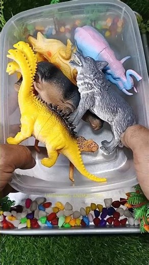Satisfying ASMR Animal Toys, Zoo & Safari Animals Toy & Dinosaur Collection #unboxing