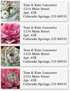 Succulent Colors Personalized Classic Return Address Labels - Set of 240 (6 Designs), Self-Adhesive, Large Flat-Sheet Classic Labels