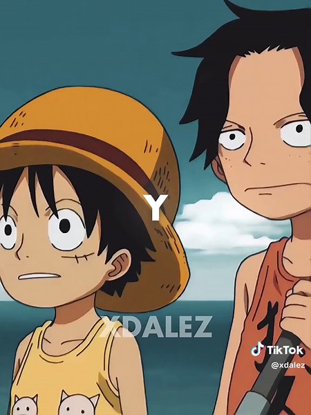 Ace and Luffy One Piece Edit