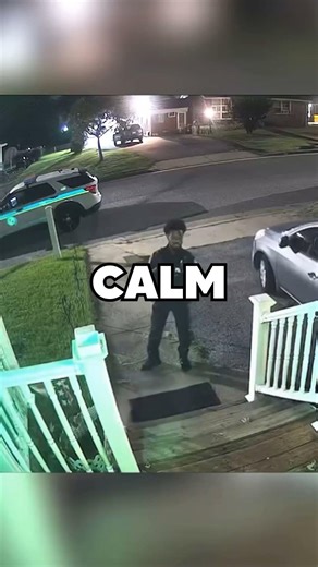 My Dog Chases a Cop #funny #helpmemakethismakesense #ringdoorbell #anotherbrickinthewall #dog