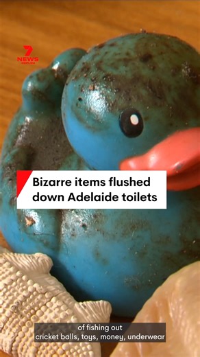 64K views · 166 reactions | South Australia’s poo patrol is begging locals to stop flushing things down a toilet that have no business being there. #7NEWS | 7NEWS Adelaide | Facebook