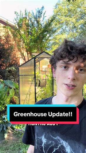 GREENHOUSE UPDATE!!! Shoutout to Bob of Bob’s Tropical Fish in Augusta, Ga. He hooked me up with some of my pond plants without knowing who I was because he’s just a really good, sound guy. If you are in the area and need a new fish store, make sure to check him out! He’s been nothing but kind to me and my family throughout the years and deserves a huge thanks from me! Bob's Tropical Fish, 3563 River Watch Pkwy, Augusta, GA 30907 Please let me know if you have any questions, suggestions, or want