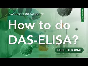 How to do a DAS-ELISA to detect plant pathogens? (Full Tutorial)