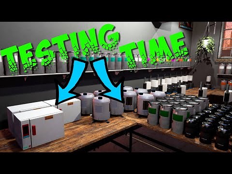 Best Processing Guide (Drug Dealer Simulator)
