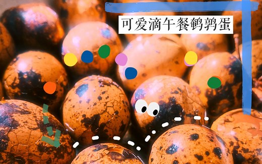 【Plog】三步教你快速制作plog