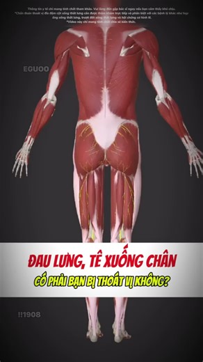 Giảm đau thắt lưng hiệu quả với các liệu pháp tự nhiên
