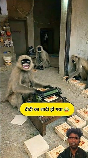 दीदी का शादी हो गया #funny #thetharpuns #shilpisaroja #comedy