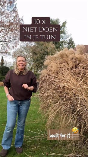 Marly’s Garden - Marlies Steinebach on Instagram: "1 0 X N I E T D O E N ♡ I N J E T U I N I N J A N U A R I Dit filmpje liep iets anders dan gepland 😅 Na punt 7 werd er bij de buren ineens hard gedrild bij de aanleg van een nieuw straatje. Dus ja… wat je nu wél kunt doen: paadjes aanleggen. De rest zet ik even hieronder 👇 Dit zijn de 10 dingen die je nu beter even niet kunt doen in je tuin: 1. Geen planten verplaatsen in bevroren grond 2. Niet graven in bevroren grond 3. Geen mest of voeding 