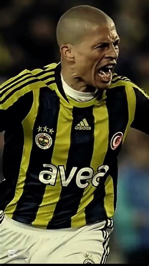 Gelin bakalım kedicikler🐱 #fenerbahçe e#galatasaray #derbi #kesfeteyyiz #keşfetbeniöneçıkar #keşfet