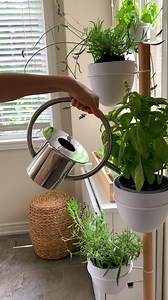 @planetedinthegarden we're here for your plant sanctuary! The dimension added with our TRIFLORA HANGING PLANTER and FLORISTAND PLANTER is all your plant babies need to fill your space 懶 | Umbra | Facebook