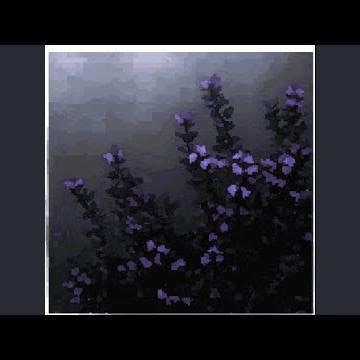 She Make It Clap (Hoodtrap - Slowed)