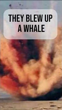 Oregon's Exploding Whale: A Blubber Snowstorm! #disaster #shorts #explodingwhale
