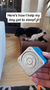 20 reactions | Animal behavior is triggered by their acute hearing. Their instinct is to seek comfort in their environment to feel safe and calm.  Pet Tunes by Pet Acoustics keep your pet's behavior balanced and produce calm in their environment with clinically proven music  . Pet Tunes is created after careful research that comes from biometric studies. Our products provide repeatable results that keep your furry friend calm, happy and at peace all the time | Pet Acoustics | Facebook