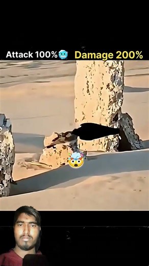 Attack that never failed with highest Speed By.....