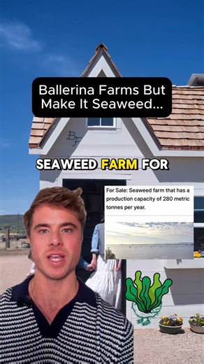 Doug Grindstaff on Instagram: "Turning a seaweed farm into the Ballerina Farm @ballerinafarm . While it’s unlikely to make you rich overnight, I do think it’s an interesting business. Many influencers talk incessantly about the same overpriced, oversaturated businesses. Occasionally, it’s fun to branch out. Would I buy this? Probably not. At least not as a pure financial play. But regenerative ocean farming is trending, and with the right brand strategy, this could become something special. And