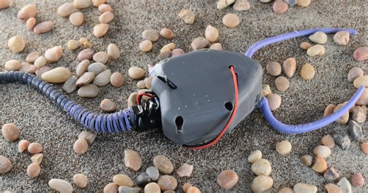 Prehistoric sea creature gets reborn as a soft-bodied robot