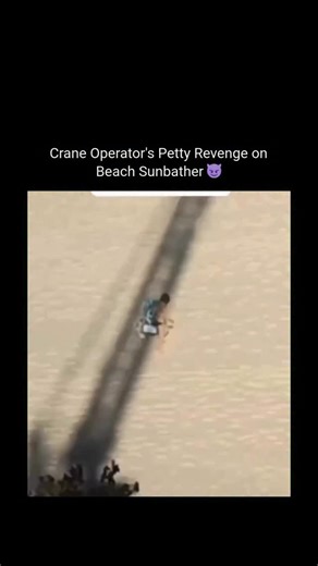 Info Vector on Instagram: "This post features a viral video from 2021 showing a crane operator playfully repositioning equipment to cast a shadow over a sunbather on a beach, captioned in Spanish as «If I don’t have a holiday, no one does,» highlighting petty workplace humor. Posted by @PropositoyVida, an account focused on stoicism and personal growth, the clip received over 28,000 likes within 24 hours, showing how light-hearted content increases engagement on self-improvement profiles. Replie