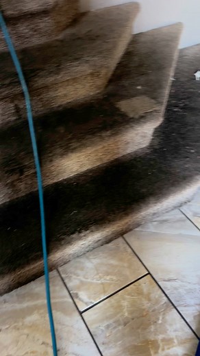 811K views · 7.4K reactions | Carpet Cleaning Tips You’ll Want to...