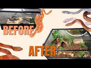 SETTING UP A CORN SNAKE VIVARIUM!