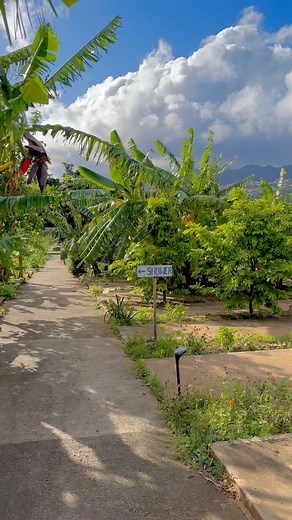 9.7K views · 189 reactions | Beautiful outdoor camping shower on Oahu, Hawaii. Would you shower here?  #travel #oahu #hawaii | RobertJohn | Facebook