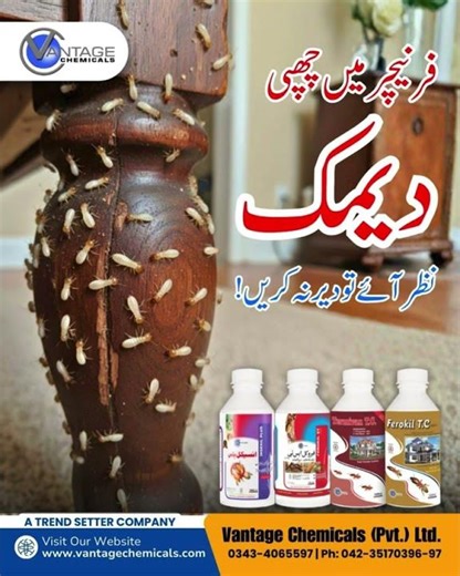 Termite Control by Vantage Chemicals | Stop Damage Before It Starts