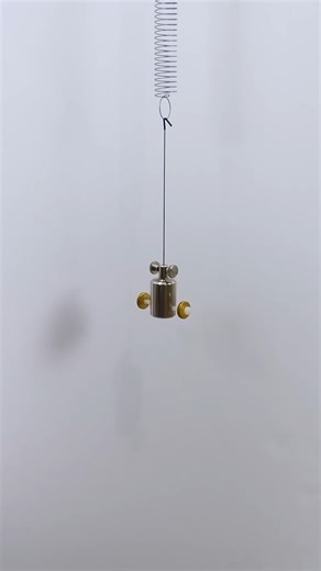 614K views · 8.8K reactions | Wilberforce Pendulum #experiment #physics #math #pendulum #reels | The Action Lab | Facebook