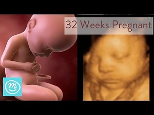 32 Weeks Pregnant: What You Need To Know - Channel Mum