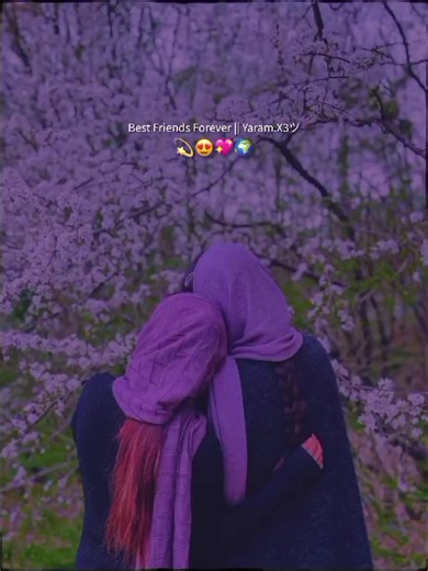 Celebrating Friendship in Saheliyan 03