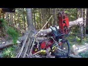 GMT 035 and PATU 40LF