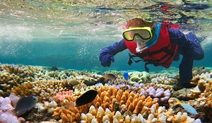The best diving and snorkeling in Australia - Lonely Planet