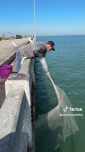 Understanding Fishing Nets: How They Work