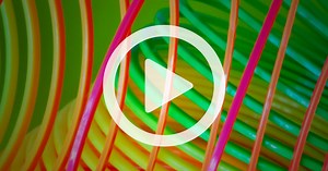 The Power of Resilience in a Time of Uncertainty