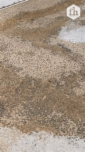 Is your concrete patio looking dirty and stained? Learn the best way to deep clean it and remove grime, mold, and mildew with these simple steps. #concretecleaning #patio #diycleaning #homeimprovement #outdoorliving #cleaningtips #familyhandyman | Family Handyman