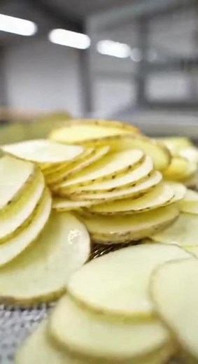 Inside a Modern Potato Chip Factory: How Chips Are Made (Full Process)