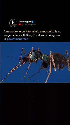 This Mosquito Micro drone Is Real and Now Used in Government Tech