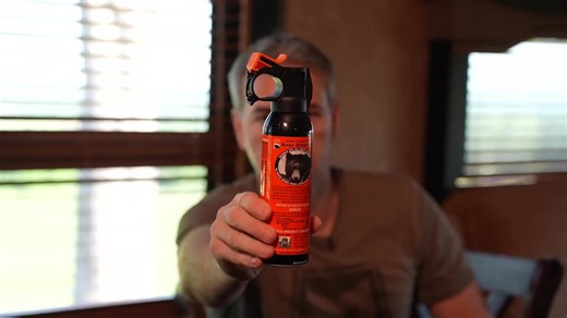 Mobile home protection systems for full-time vehicle dwellers