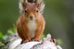 205 reactions · 48 shares |  Competition Time  說黎曆璉 Win an...