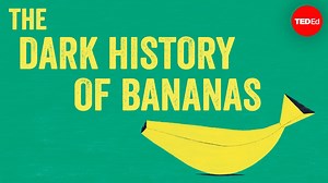 The not-so-sweet history of bananas: | TED-Ed