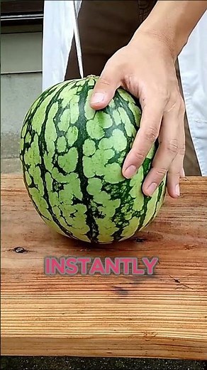 The Ultimate Shark Attack Defense | TS |