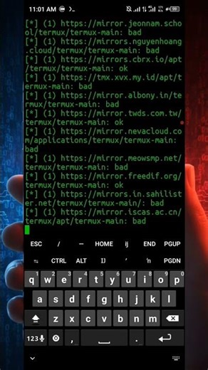 This Command Shows Hidden IP Information in Seconds ⚡