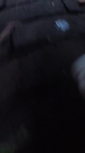 1.4M views · 36K reactions | Ros always comes when I call him (when there is food) | Ros Adventure Cat | Facebook