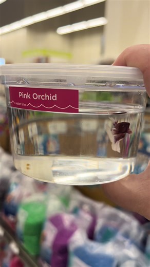 Thoughts on Naming an Orchid: Seeking Suggestions