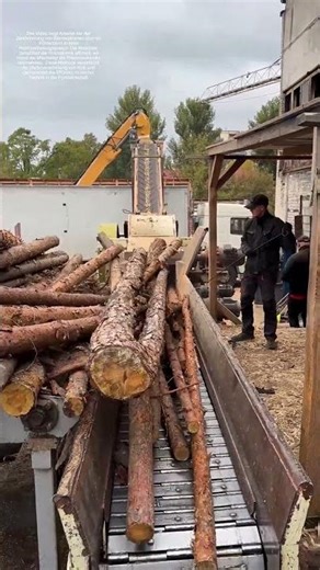 tur in Nutzfaser verwandeln