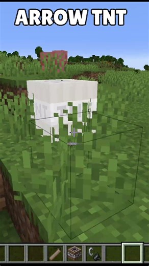 TYPEs OF TNT #minecraft