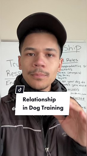 Hamilton Dog Training: Building a Healthy Relationship with Your Dog