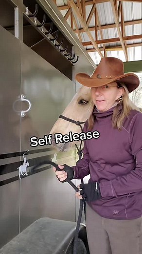 #knot #DocHoliday #itsahorsething #release