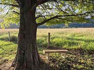 Rustic Timber Bench Seat - Etsy Canada