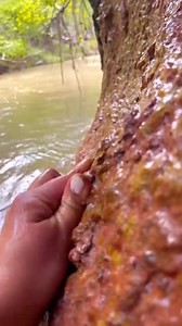 394K views · 3.7K reactions | Processing beautiful different colours of clay.... | DReal Earthcrunch | Facebook