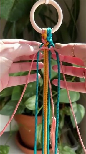 DIY Macrame Plant Hanger! 🪴✨ #shorts